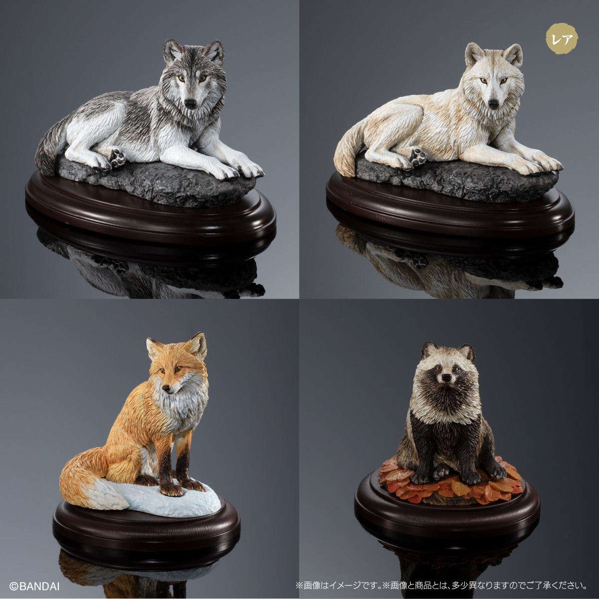 いきもの大図鑑ディスプレイモデルコレクション 野生のイヌ科動物