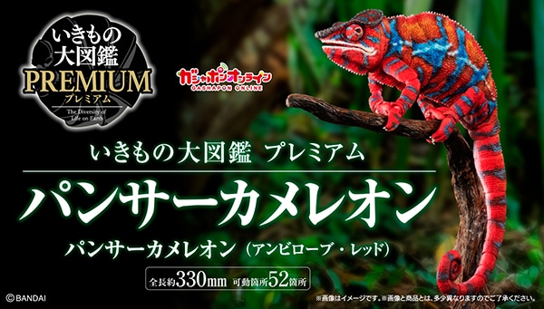 いきもの大図鑑 プレミアム カメレオン グリーン 新品未開封 新品