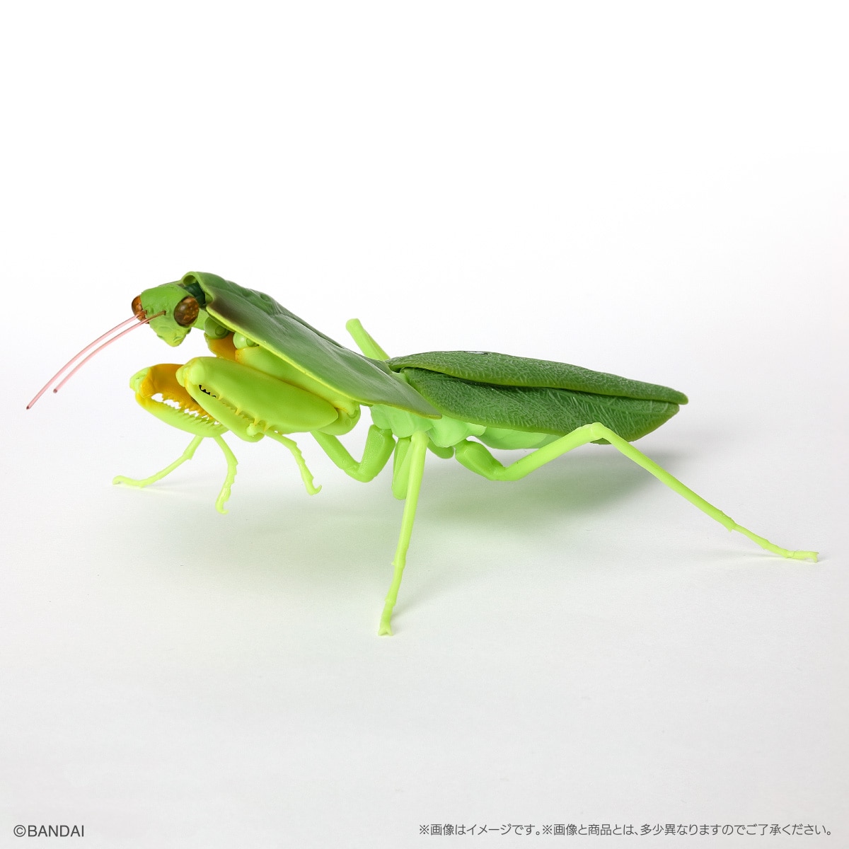 いきもの大図鑑 かまきり04【2023年11月発送】 | ナムコパークス