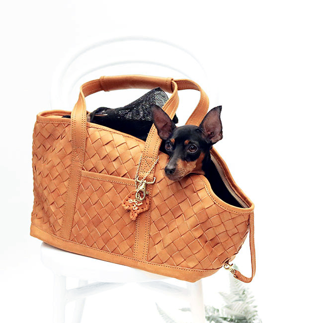 メッシュレザーペットキャリートート(M) | paw's living