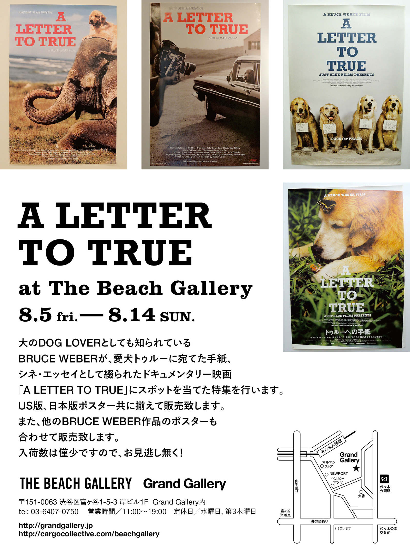 A LETTER TO TRUE - The Beach Gallery