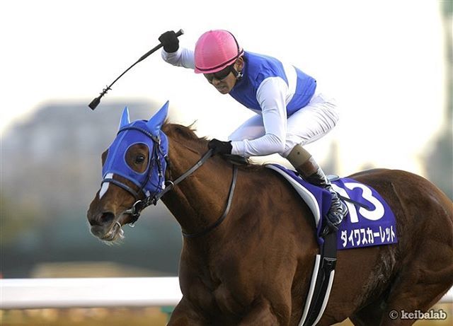 ダイワスカーレットmini色紙 安藤勝己直筆サイン入り 名馬セレクション