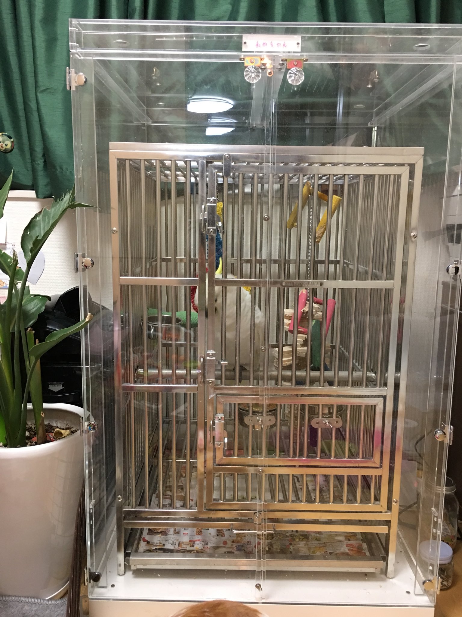 えとぴりかオリジナル SLPCケージ75 えとぴりかステンレスケージ 新