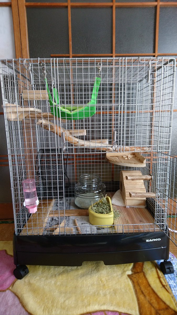 SANKO イージーホーム 80 ハイ小動物 ケージ ※台はありません。 楽天
