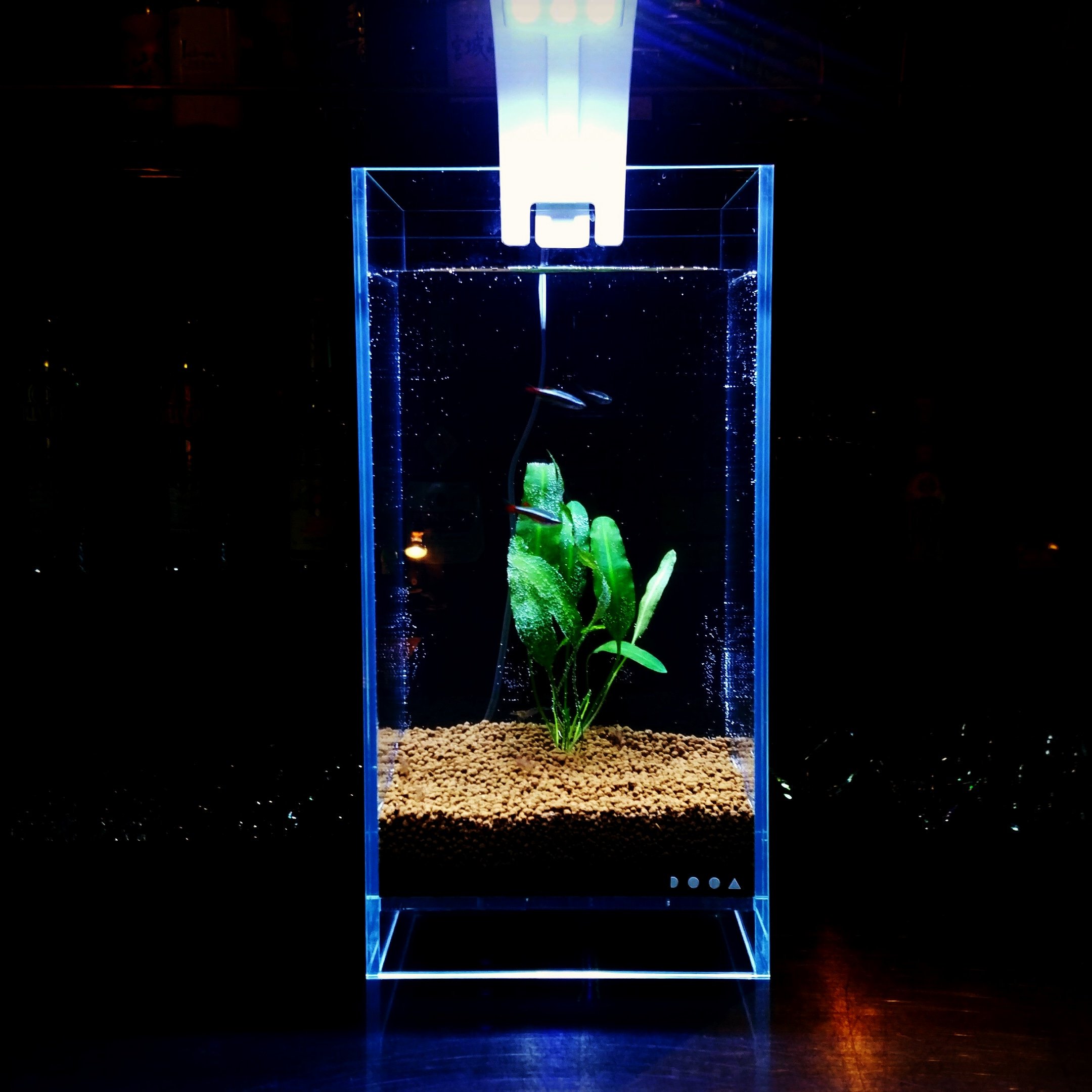 Do!aqua（ADA） プラントグラス・シリンダー3005＋専用台 【公式通販】