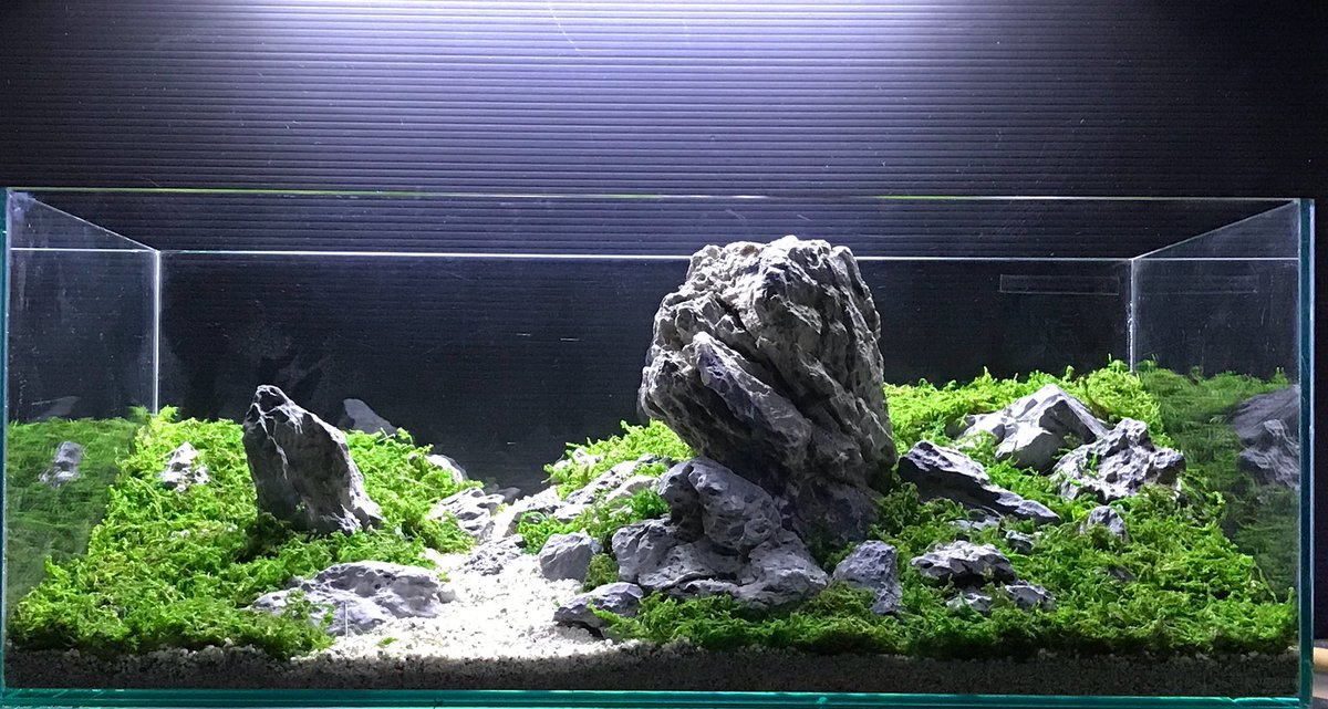 2[新品]ADA 龍王石6.5キロ☆水槽 レイアウト 清流石 青龍石 親石