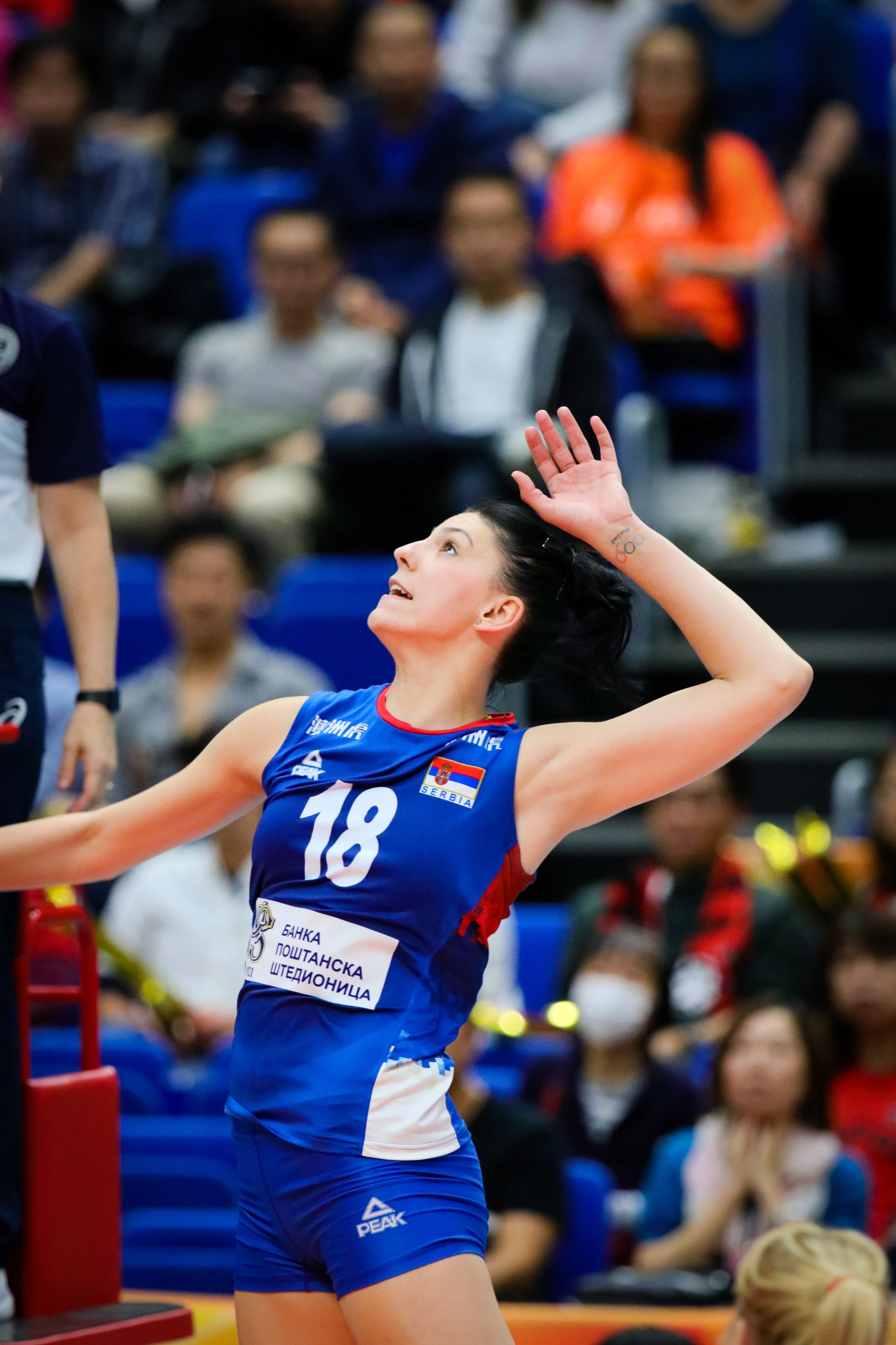 直筆サイン入り写真 ティヤナ・ボシュコビッチ バレーボールセルビアSA