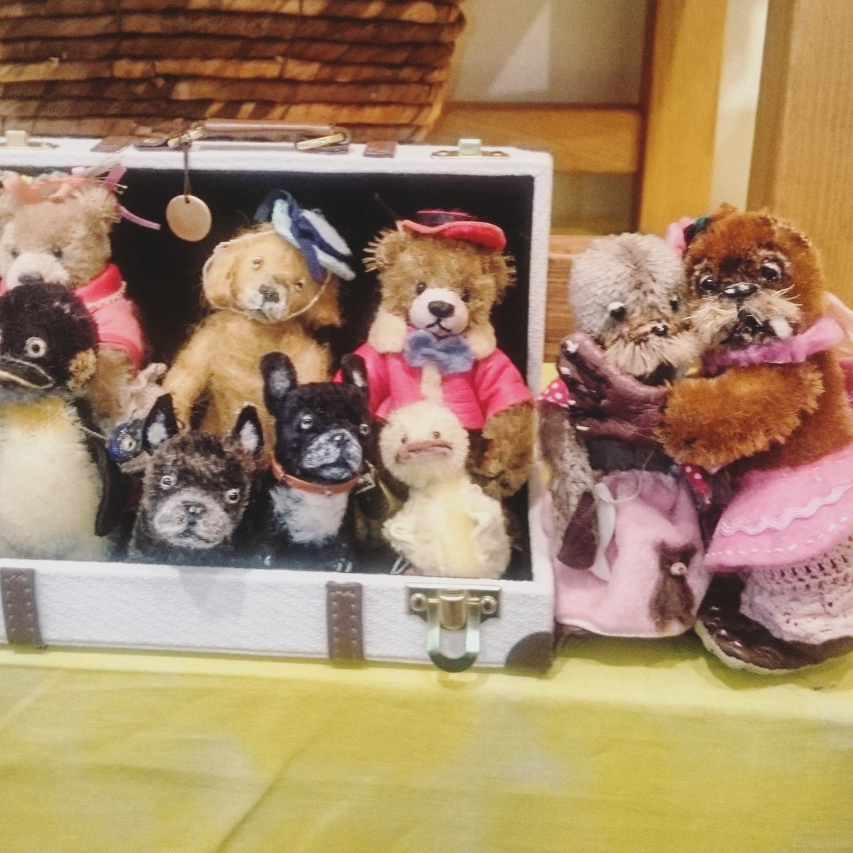 渡辺利絵さま Bearberry 白い子犬 ぬいぐるみ 渡辺利絵さま Bearberry