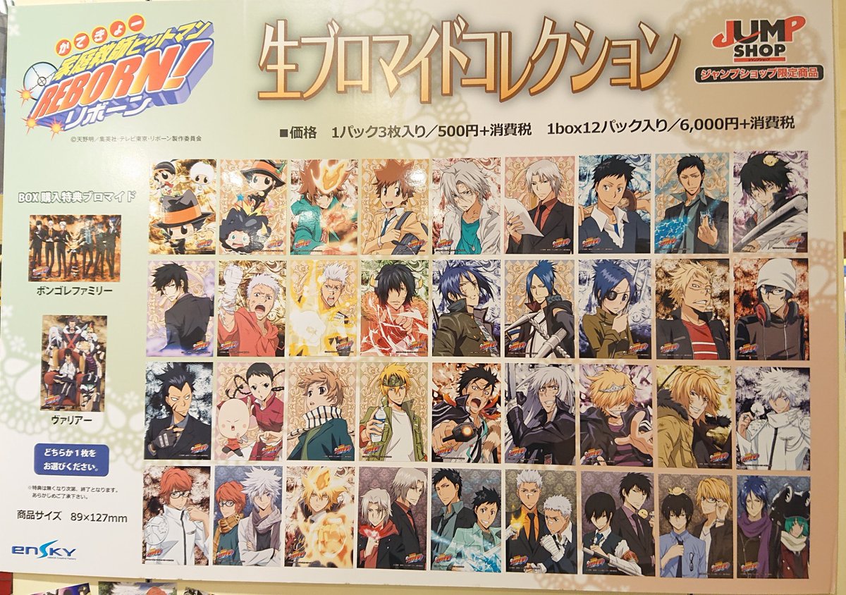 家庭教師ヒットマンREBORN! ブロマイドコレクション 9種セット(SP