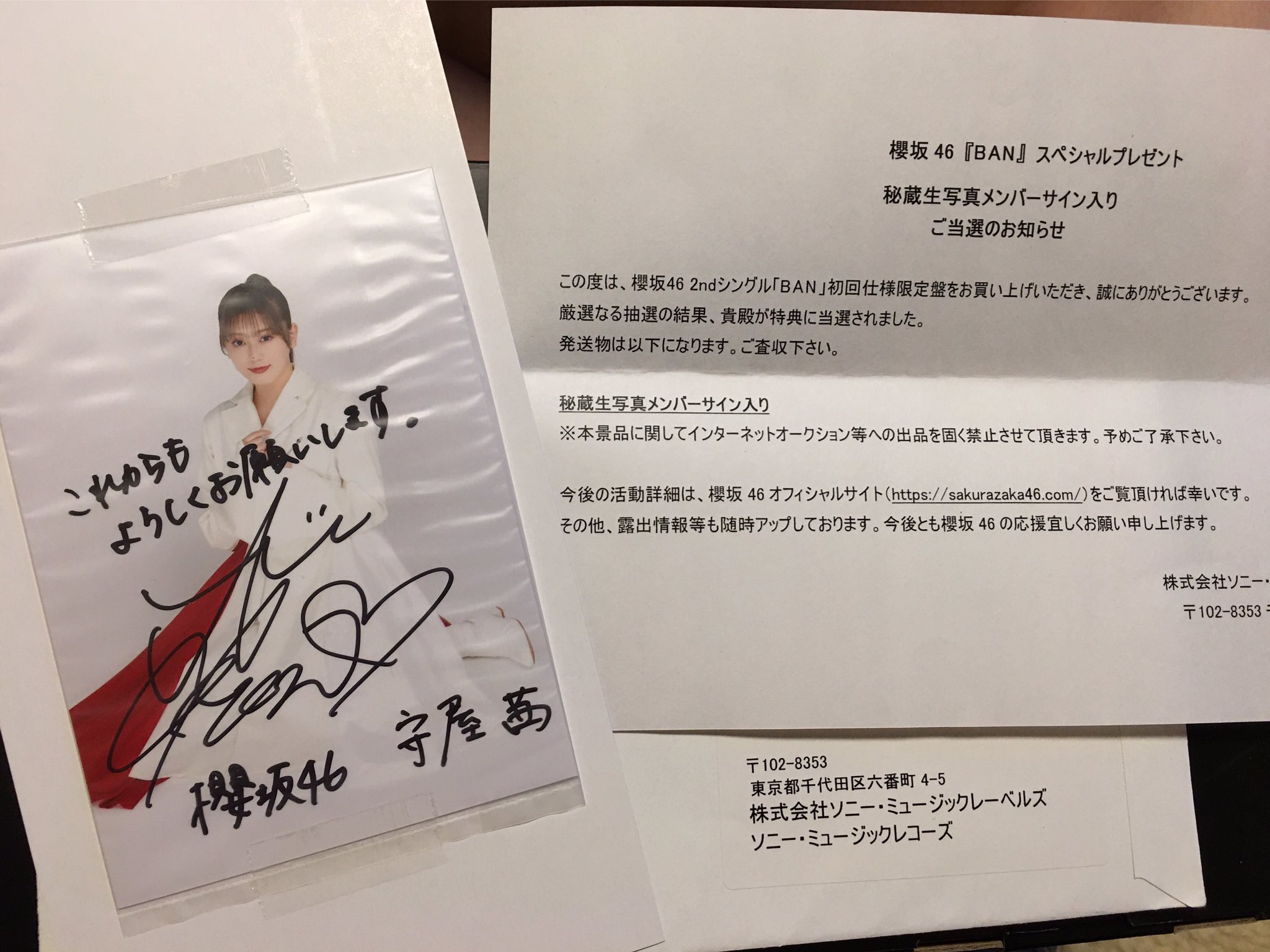 櫻坂46 田村保乃 秘蔵生写真メンバーサイン入り 直筆サイン BAN 【公式
