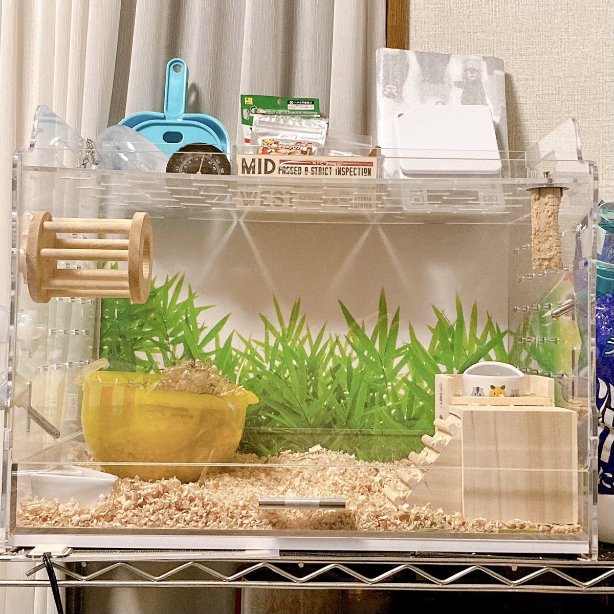 GEX アクリルルーム 510 アウトレット Low GEX アクリルルーム510Low