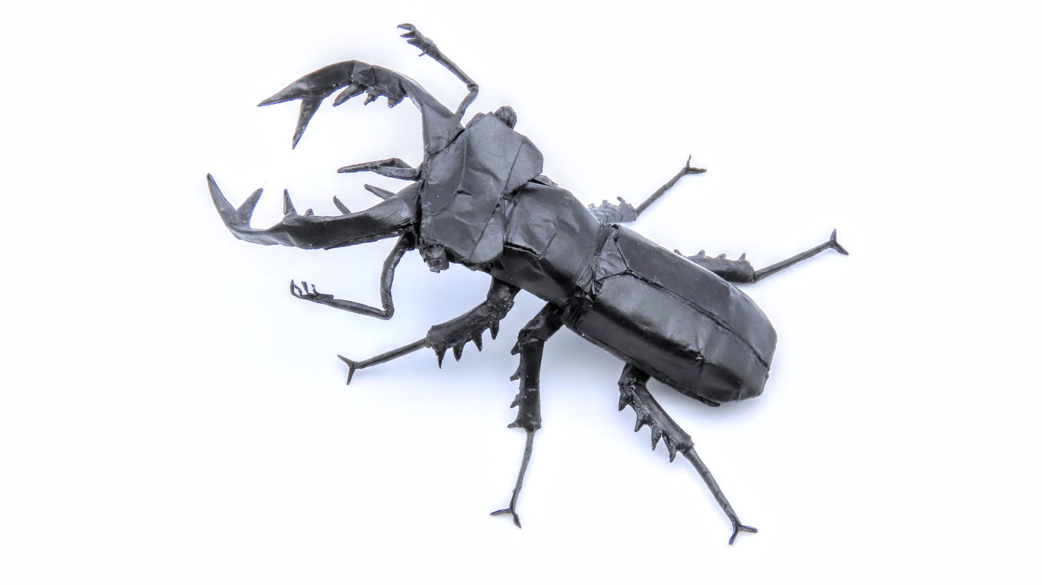 Lucanus cervus judaicus 雄74㍉野外品 Lu.ジュダイクス（Lucanus