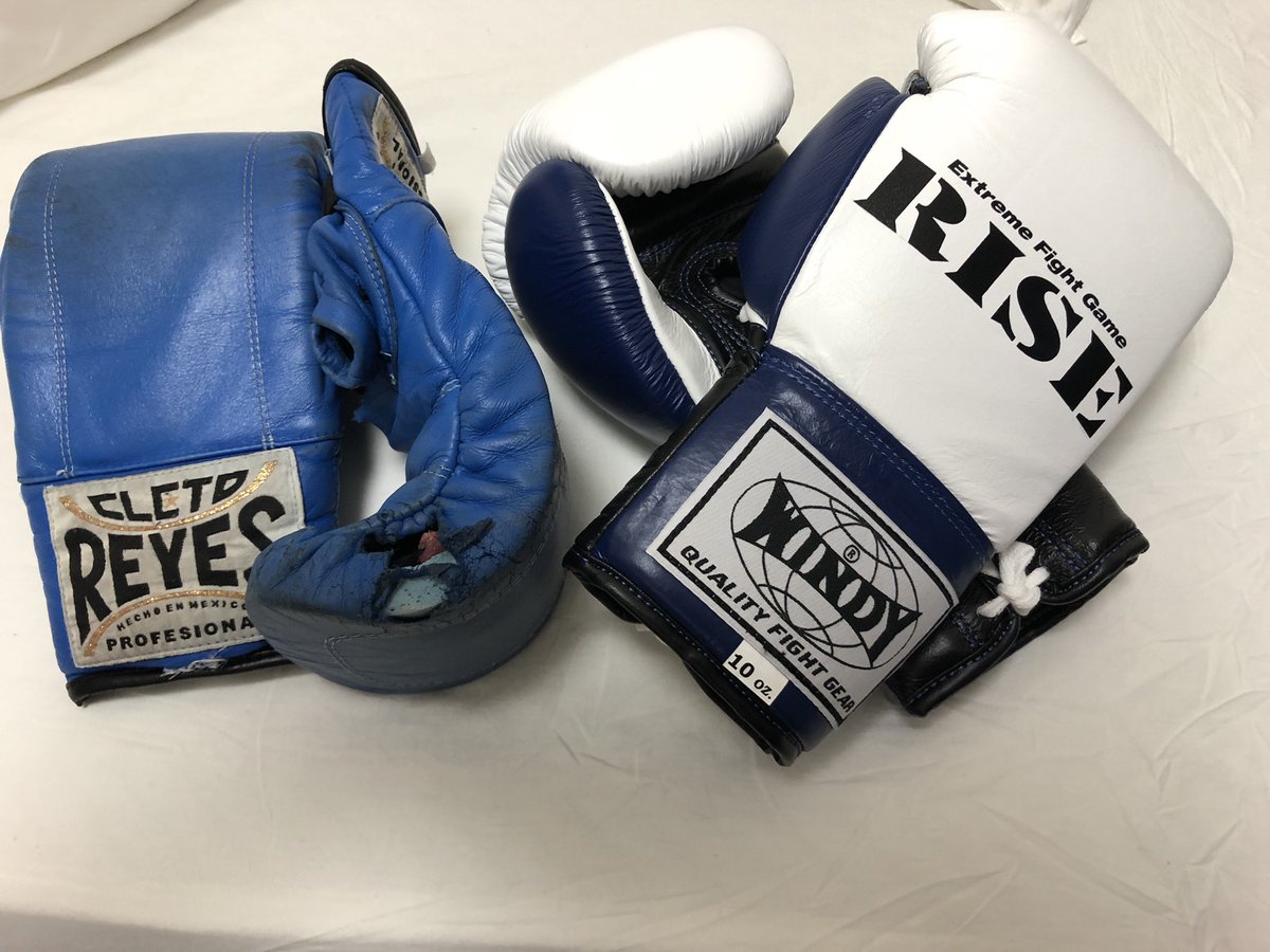 RISEキックボクシンググローブ RISE公式モデル|トレーニンググローブ
