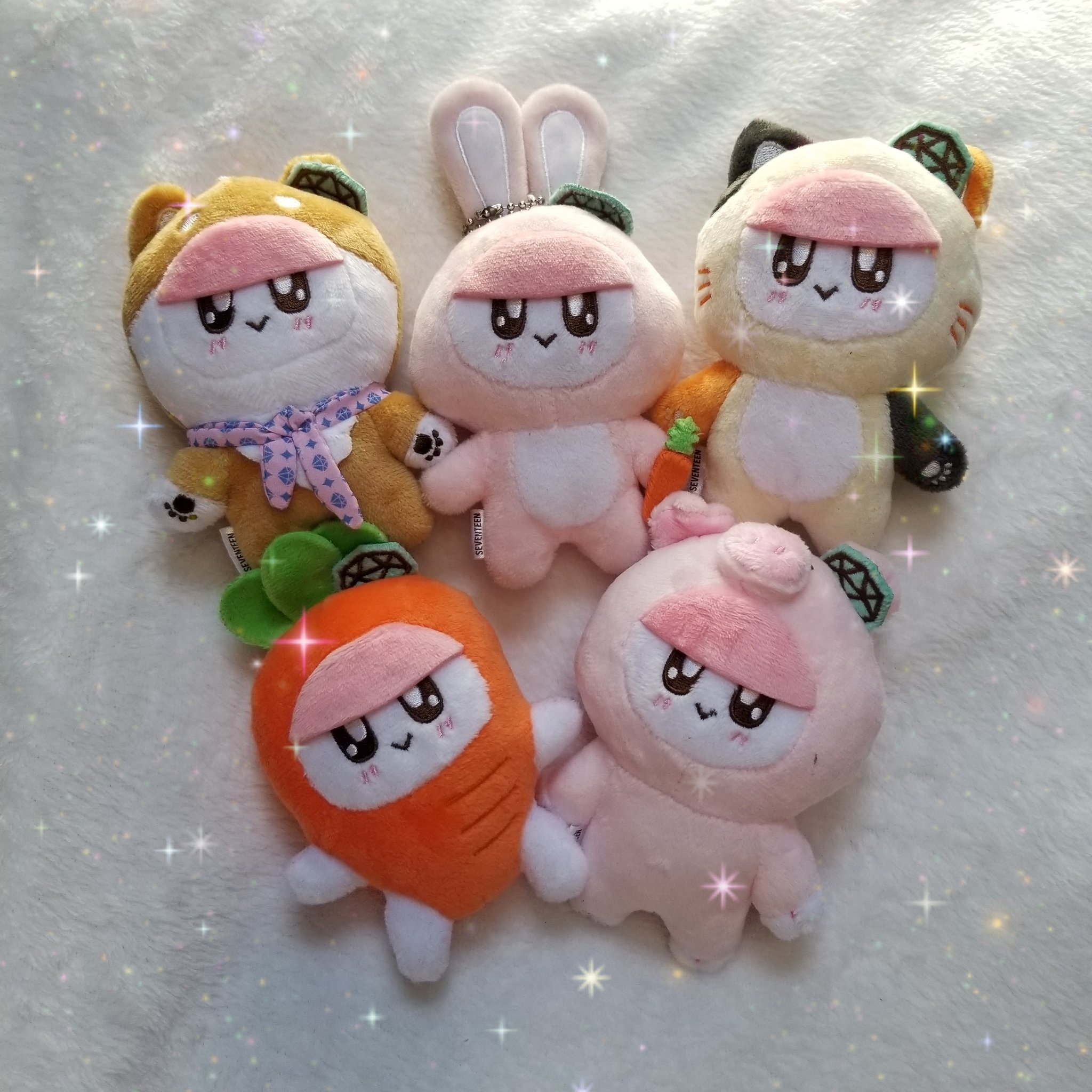 着ぐるみBONGBONG ボンボンイ ニンジン ウサギ 猫 ブタ 犬 ぬいぐるみ