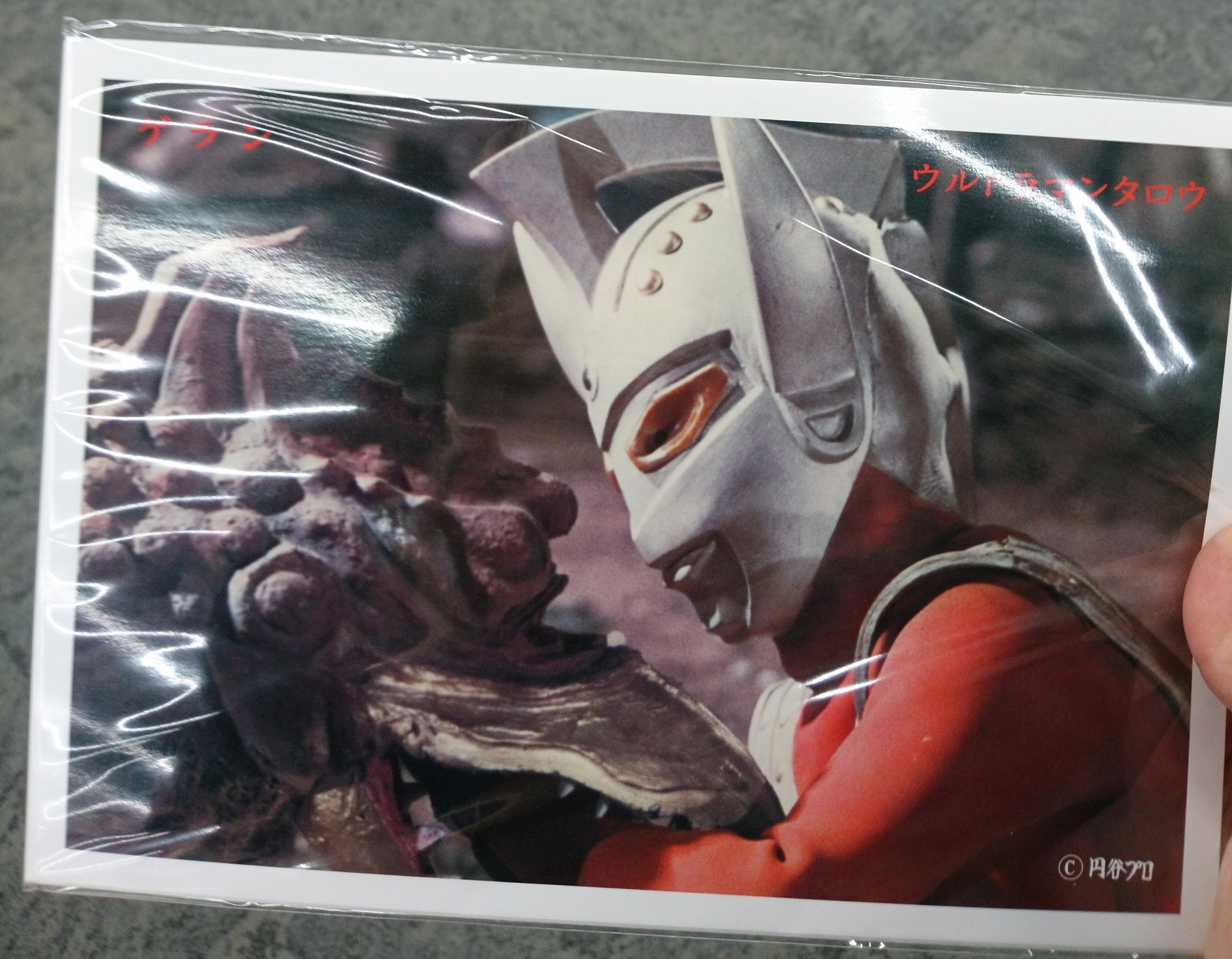 ウルトラマンタロウ スーツアクター 長沢寛氏直筆サイン入り大判