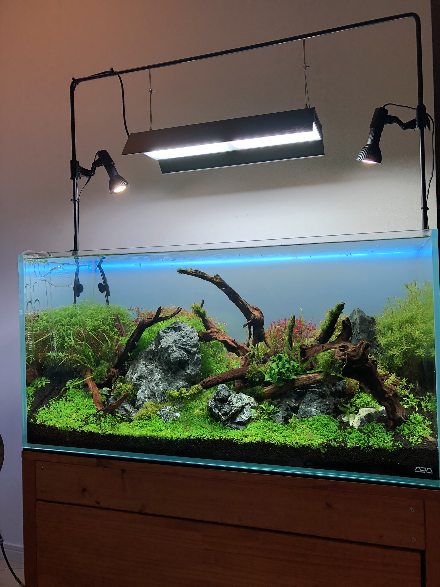 ADA ライトスタンド ソーラーRGB スタンド 【公式通販】