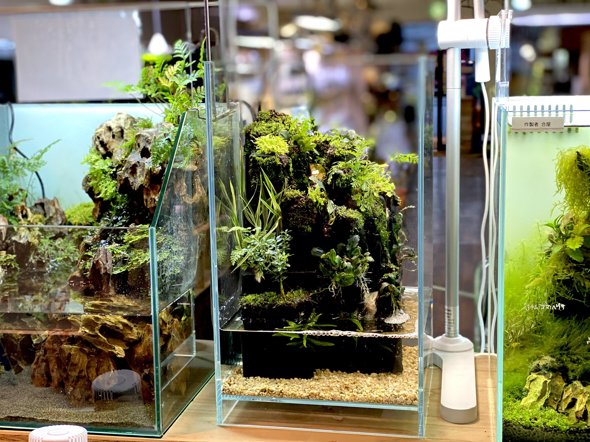 アウトレット ネオグラスエア DOOA 水槽 30×30×45 ネオグラスエア DOOA