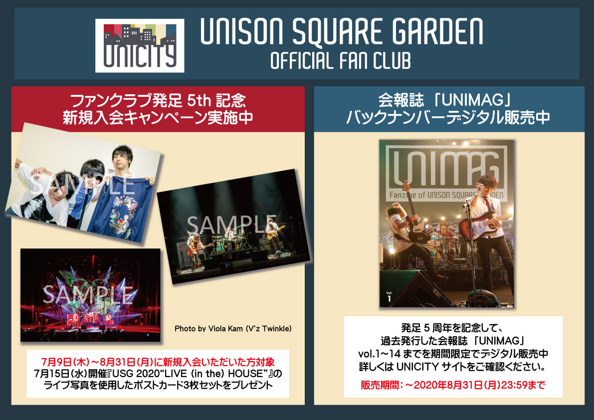 UNISON SQUARE GARDEN ファンクラブ会報NO1～14 UNISON SQUARE GARDEN