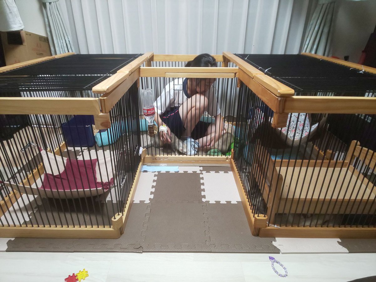 廃盤品】メディカル60 ペットサークル ルーフ付き