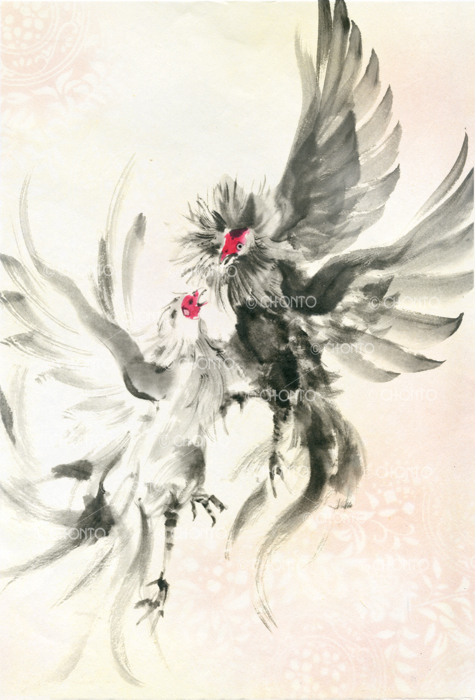 鳥の絵 軍鶏、軍鶏、烏骨鶏、サンコウチョウ #水墨画 #墨絵 #イラスト
