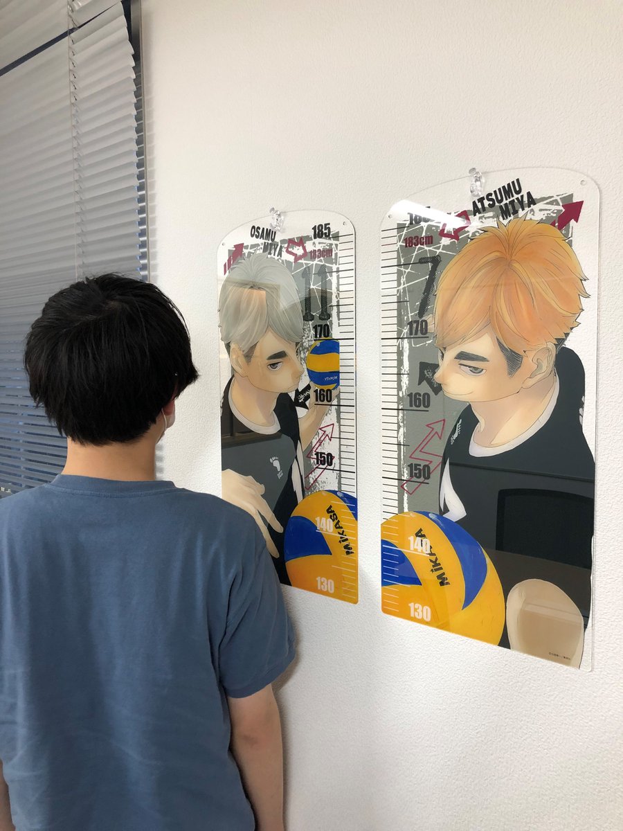 ハイキュー ジャンプショップ受注生産 アクリル身長計 月島蛍