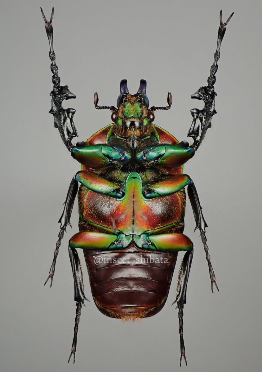 El98lmEUcAMwY6Y.jpg?format=jpg