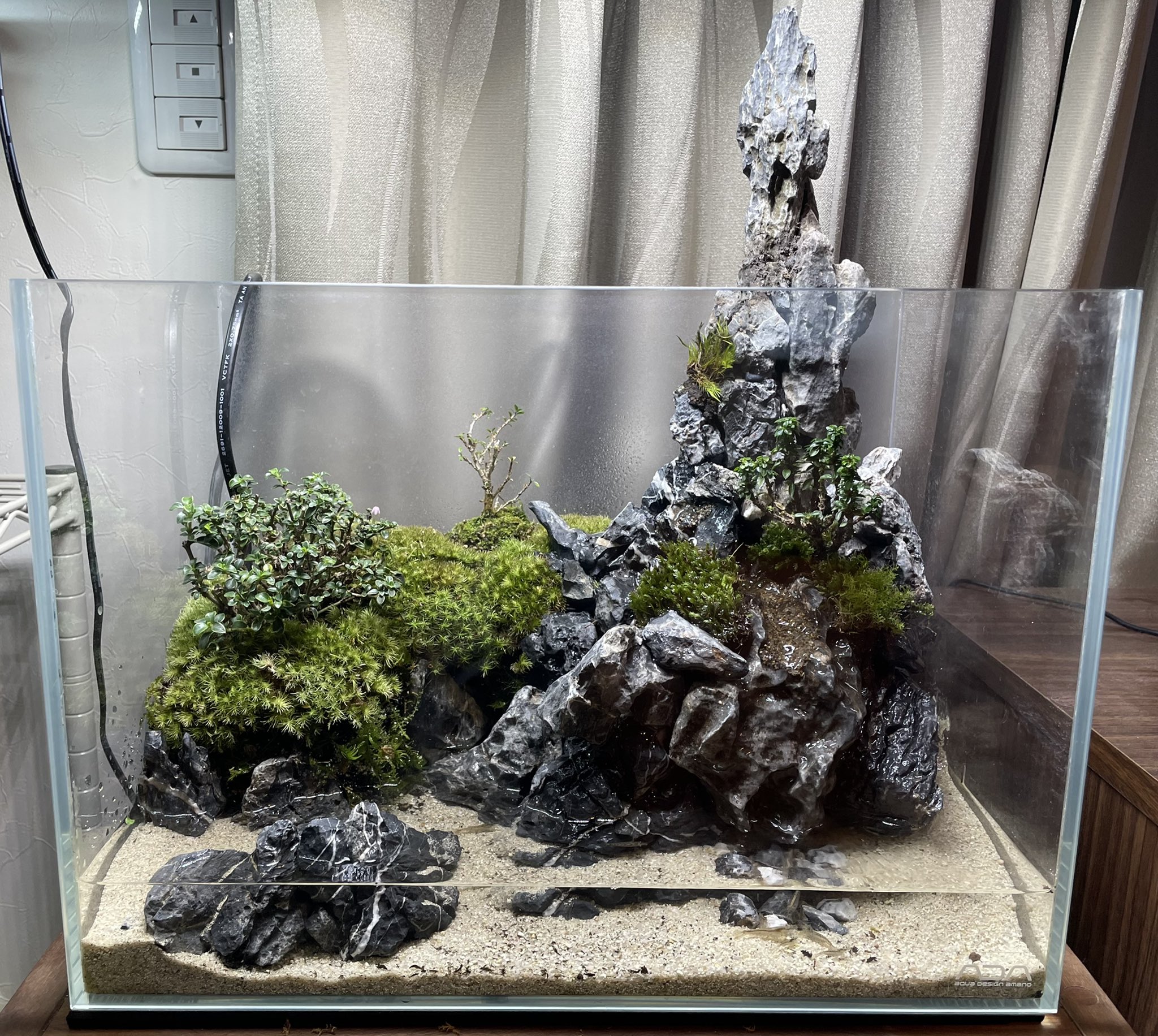 アクアテラリウム完成品 イモリウム 苔テラリウム 滝のあるアクア