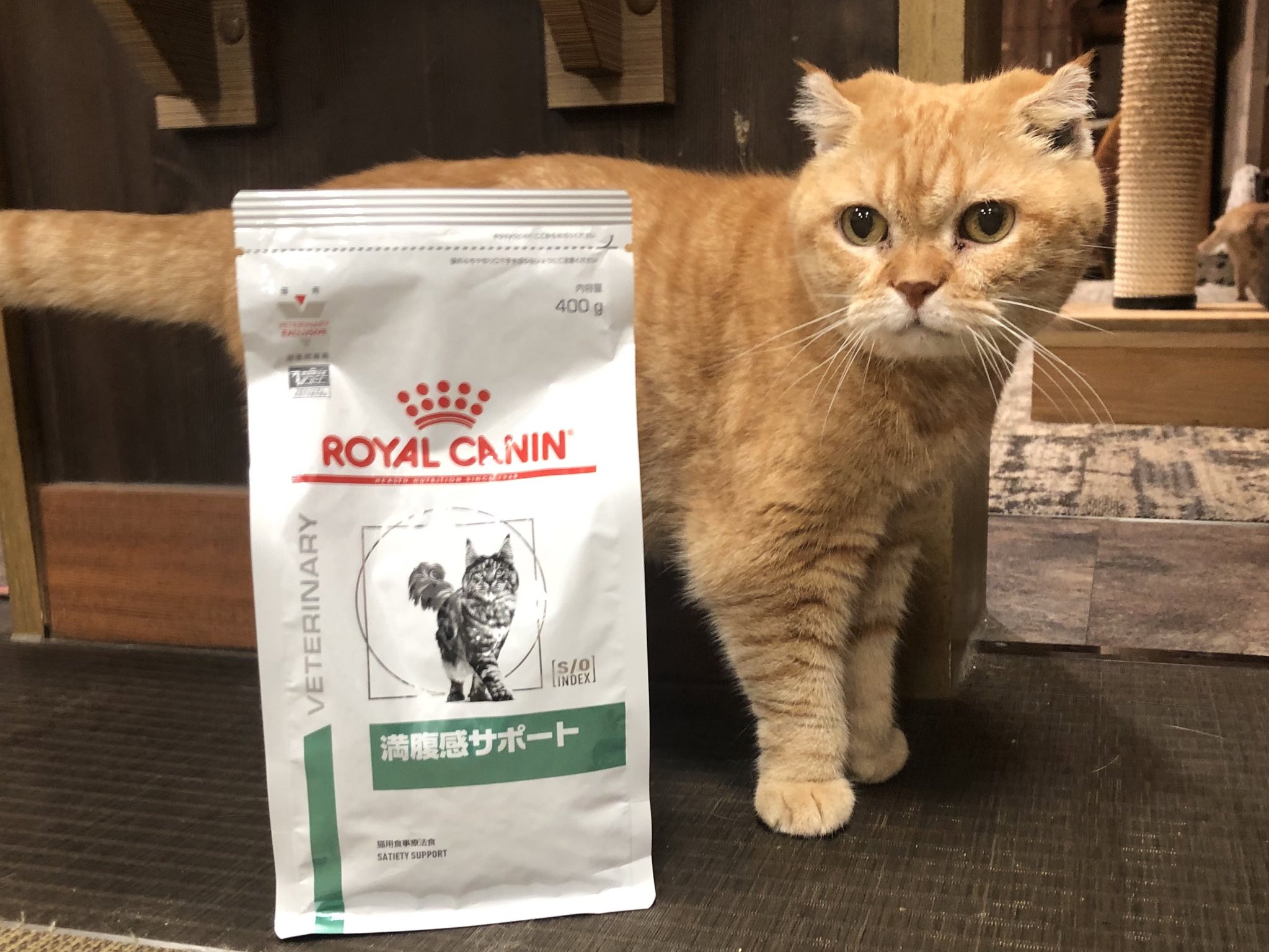ROYAL CANIN ＊ユリナリーS/O ＊猫用食事療法食＊2kg×2袋 【公式通販】