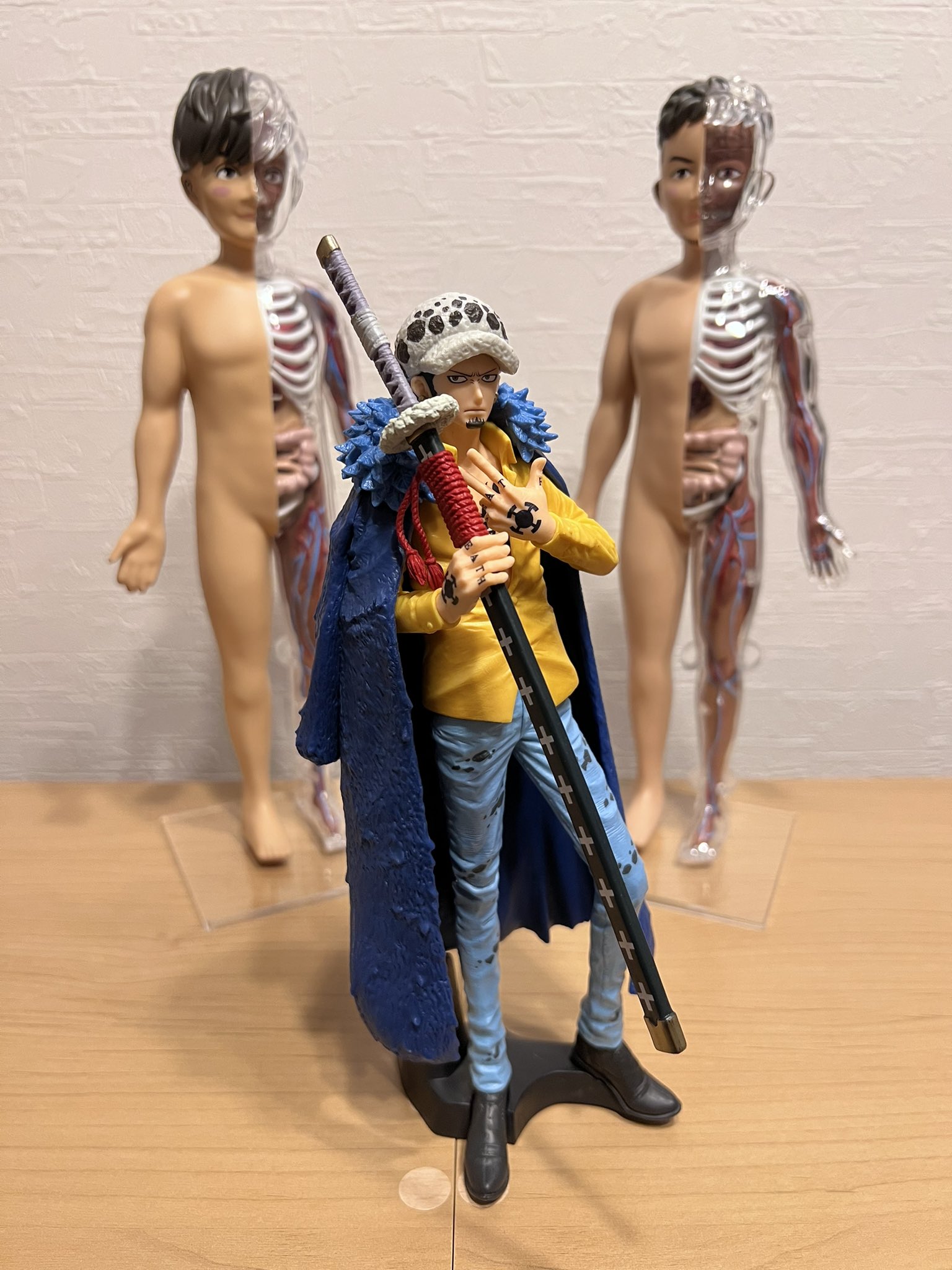 ポルノグラフィティグッズ人体模型