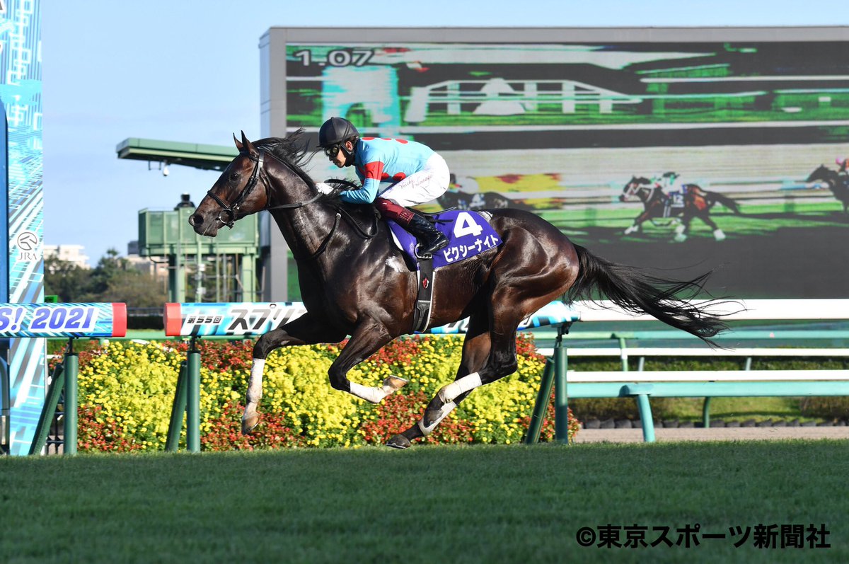 サイン入りゼッケン 競馬 ピクシーナイト母ピクシーホロウ 超レア