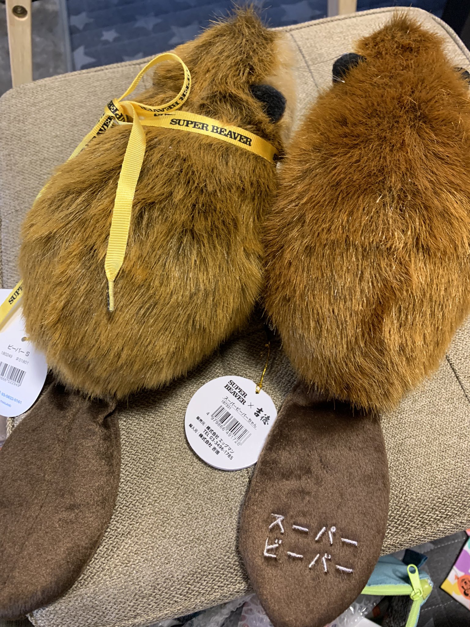 SUPER BEAVER スーパービーバーちゃん ぬいぐるみ