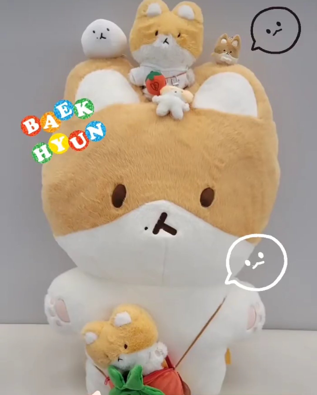 ベッキョン トレギ Baekhyun Teolaegi 80センチぬいぐるみ ベッキョン