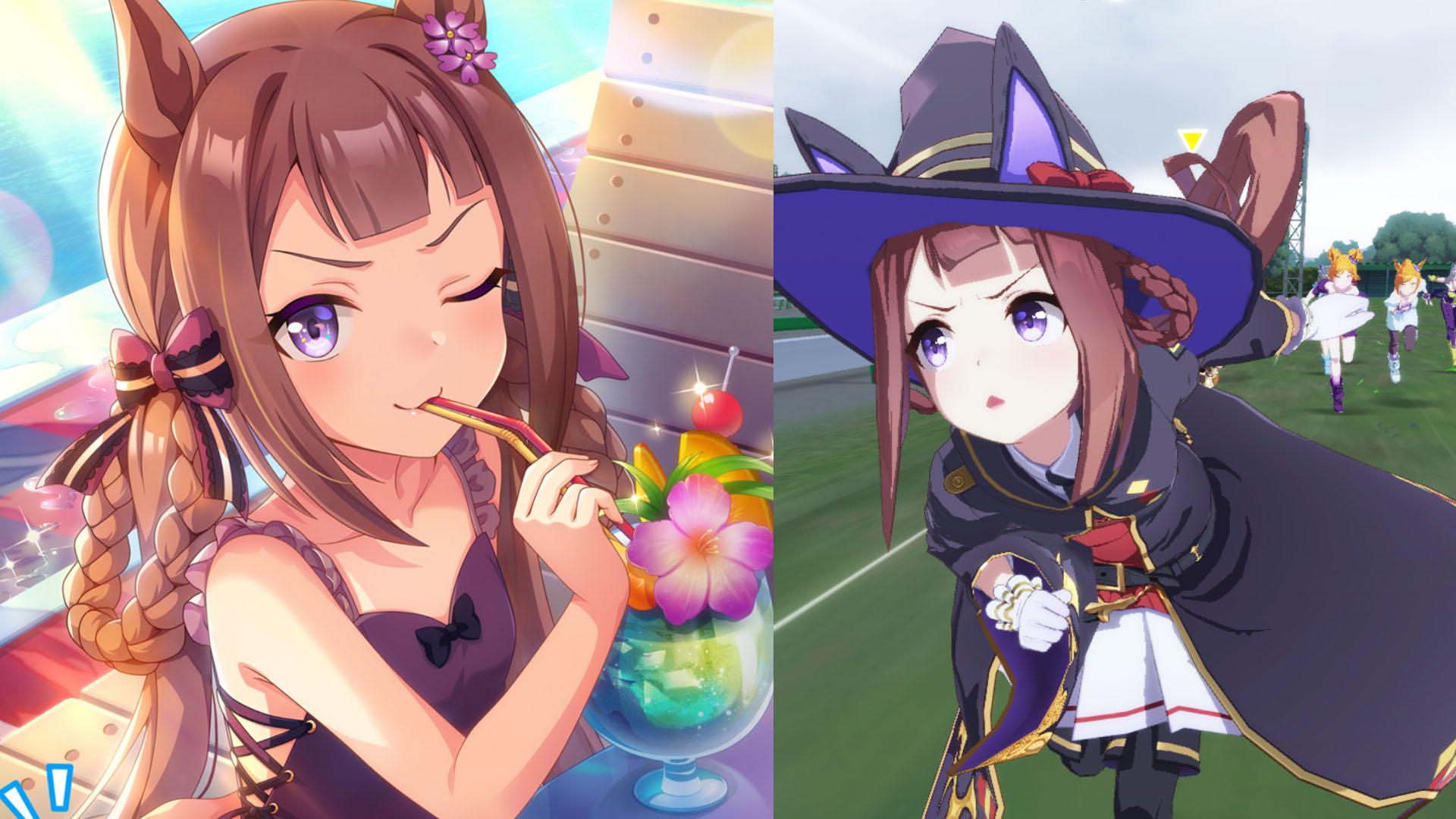 第30回エリザベス女王杯スイープトウショウ競馬アイドルホースウマ娘