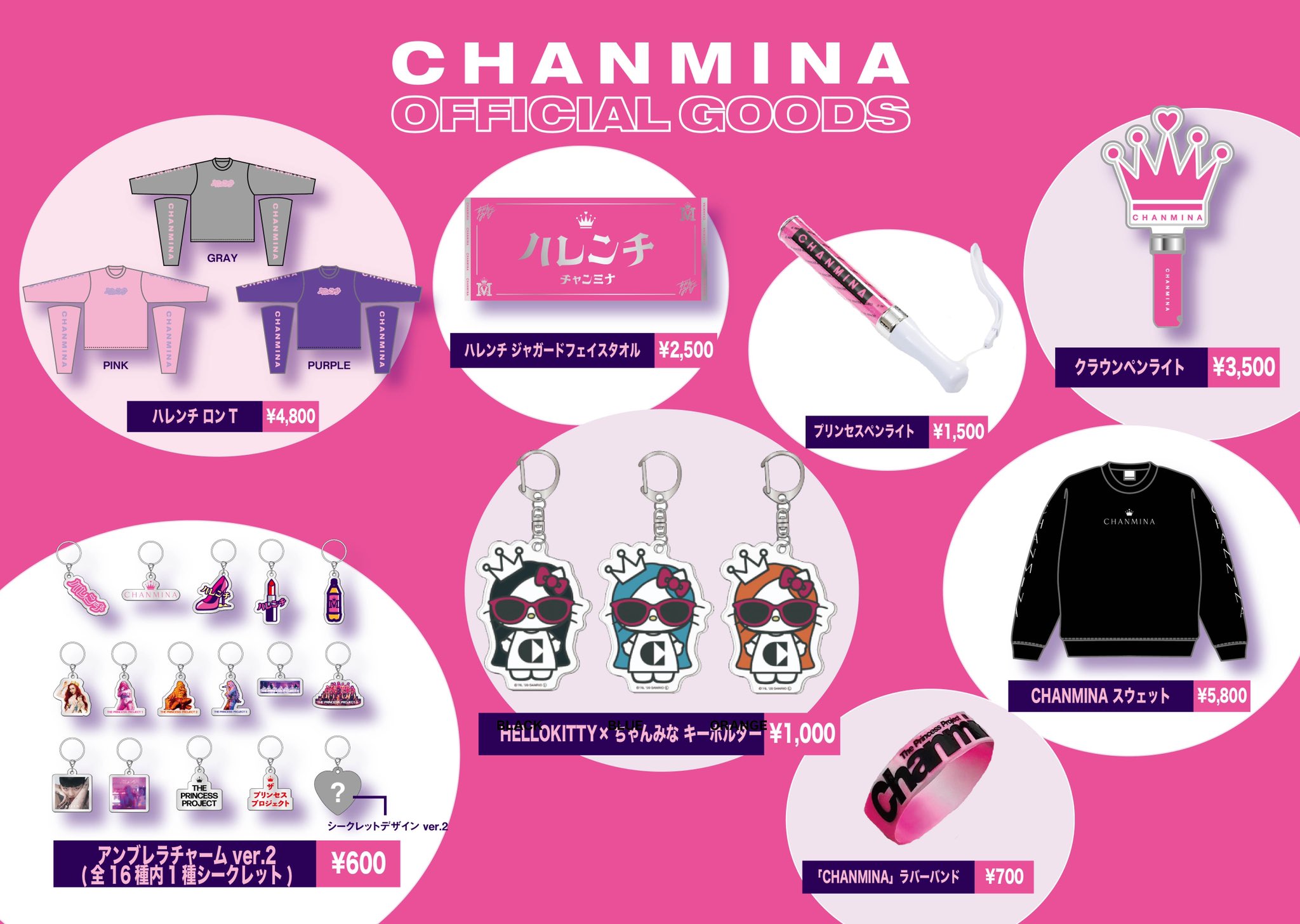 ちゃんみなTHE PRINCESS PROJECT FINALボトル グッズ ちゃんみな/THE