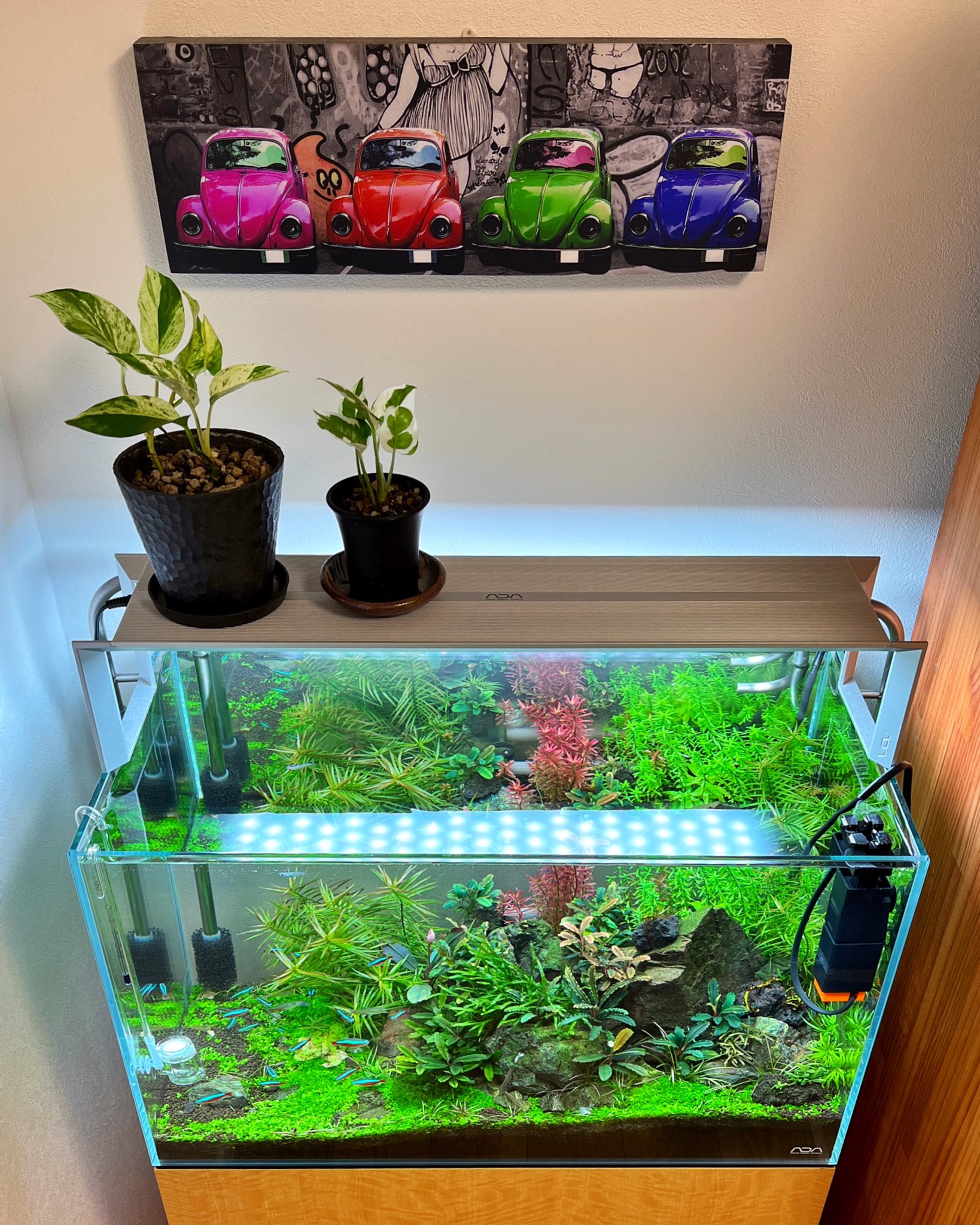 おりゆい様】ADA 90cm水槽 おりゆい様】ADA 90cm水槽