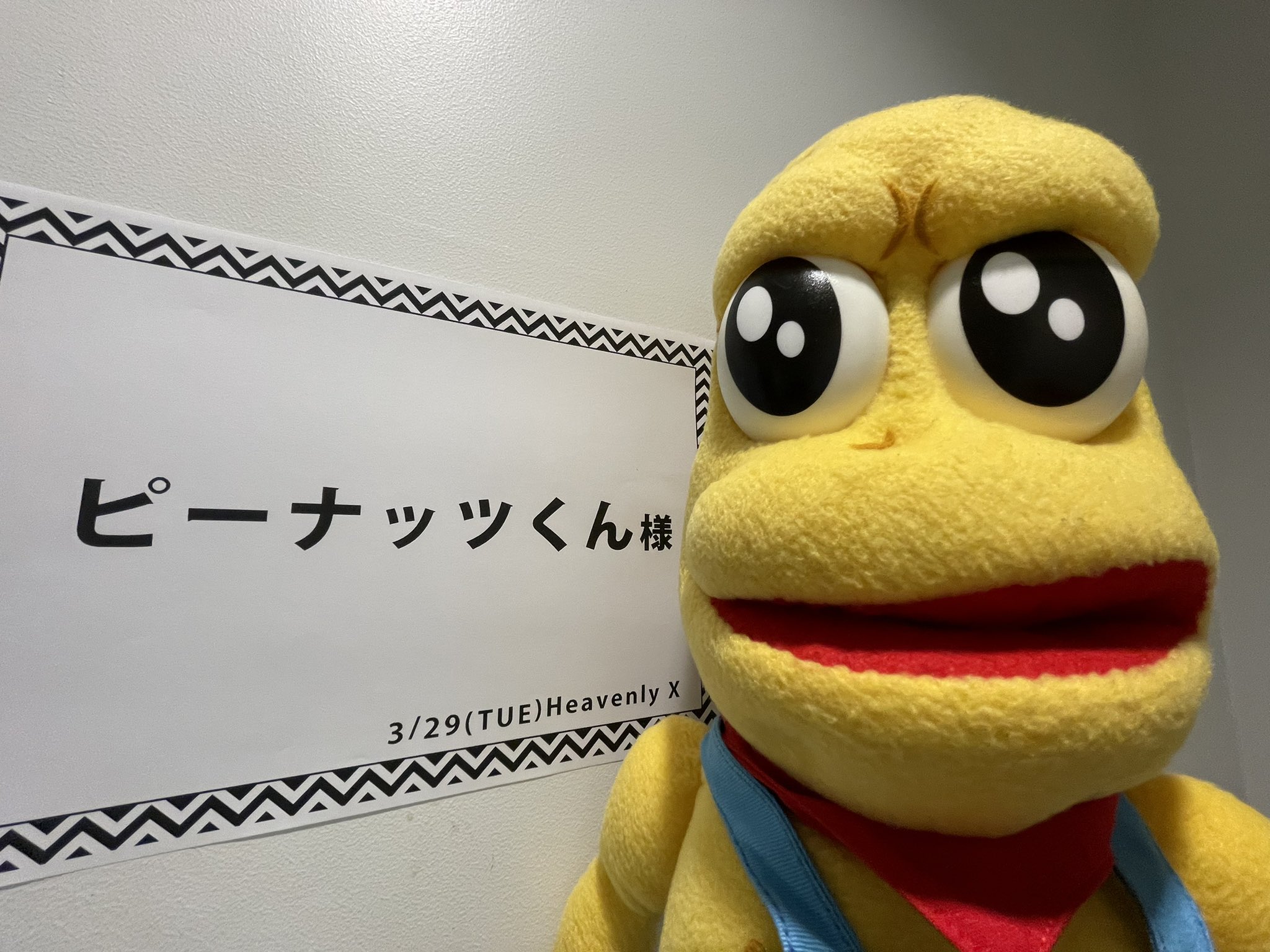 ぽこピー 甲賀流忍者ぽんぽこ ピーナッツくん Vtuber パペット