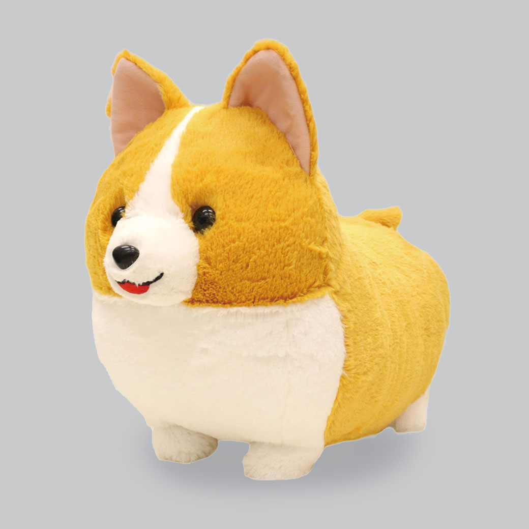 いち！にの！コーギー ただいま むぎちゃん JB いち！にの！コーギー