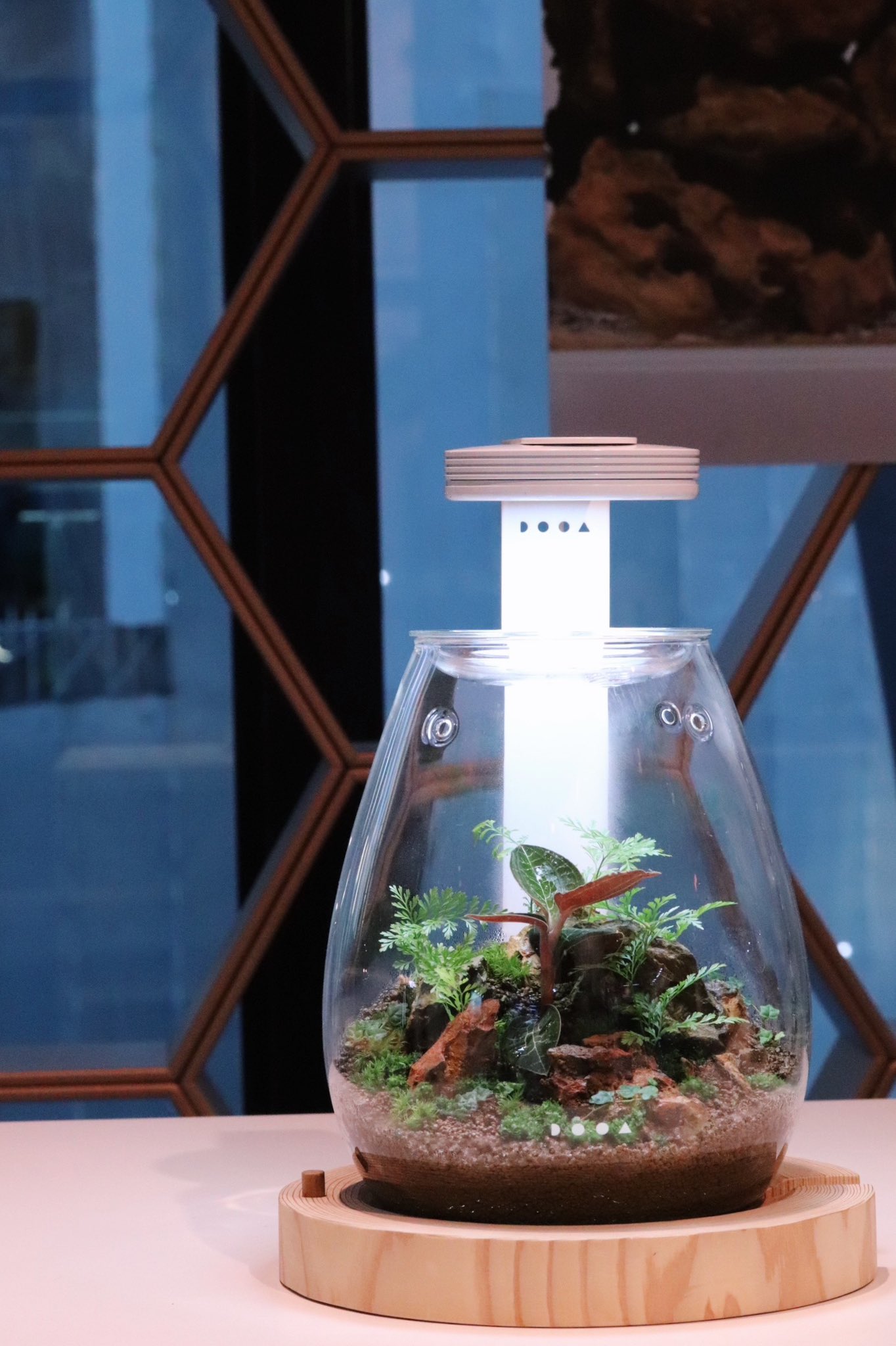 ADA DOOA ガラスポット MARU130 2個 【公式通販】