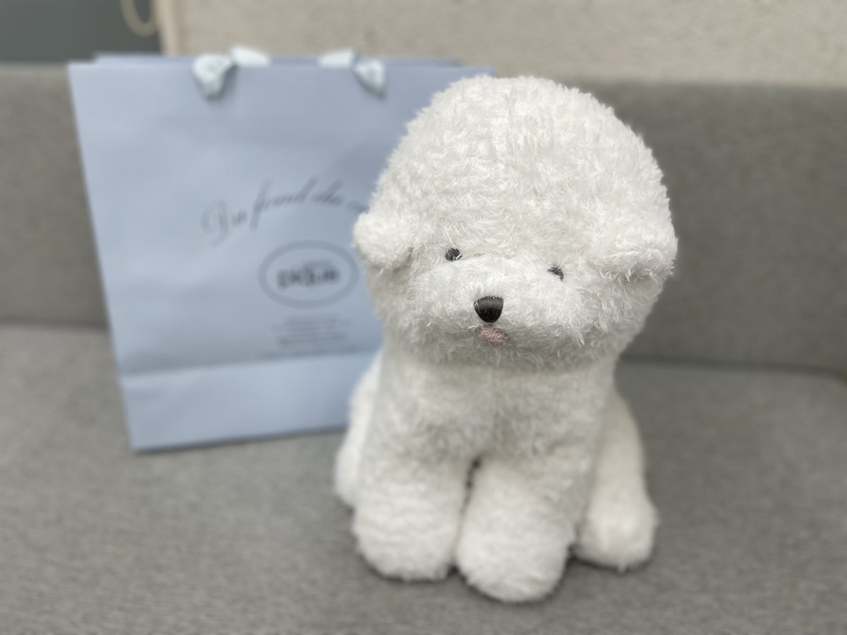 ジェラートピケ✖️スターバックス ぬいぐるみ テッシュケース