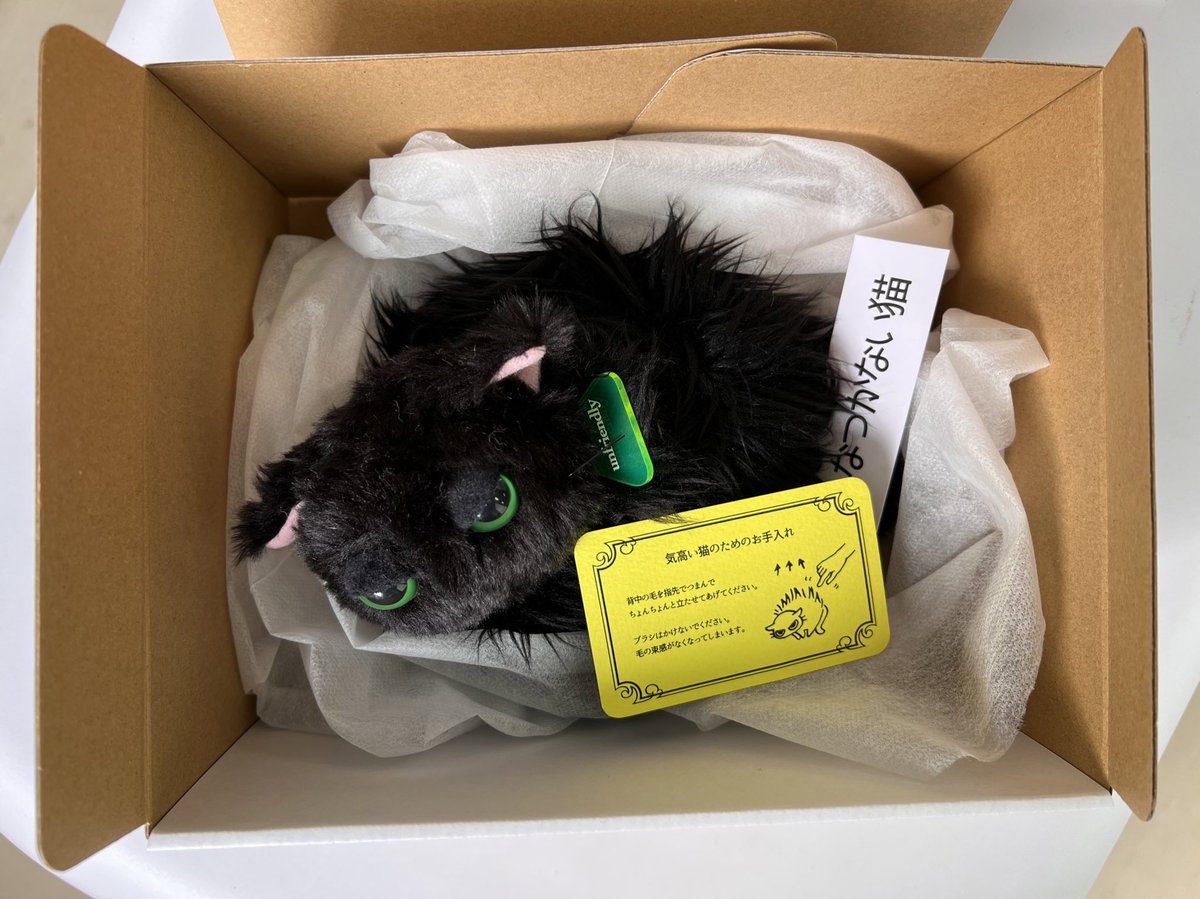 mokemono園」なつかない猫も販売します！ ＃なつかない猫 #やんのか