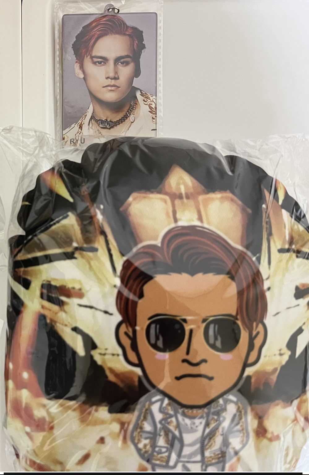 藤原樹 レア ミニクッション 𝐑𝐞𝐜𝐢𝐩𝐞 𝐱 𝐬𝐰𝐞𝐞𝐭