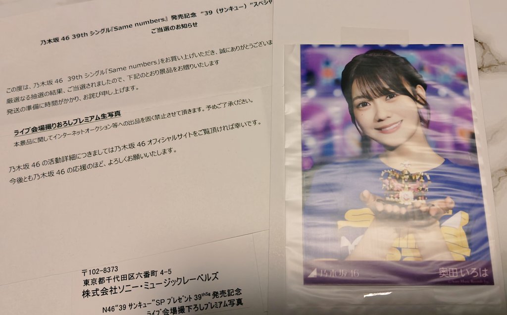 乃木坂46 井上和 プレミアム生写真 39 サンキューライブ会場撮り下ろし