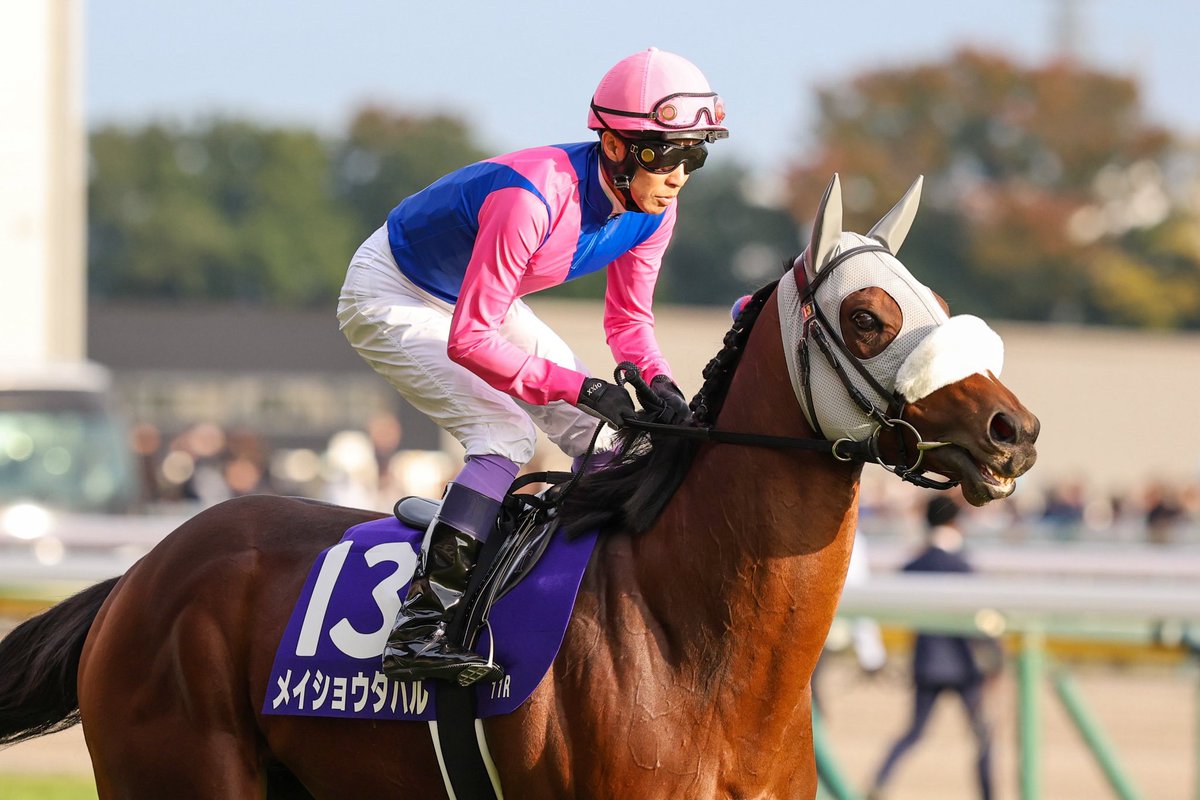 競馬 勝負服 トウショウボーイ トウショウボーイ (Tosho Boy) | 競走馬