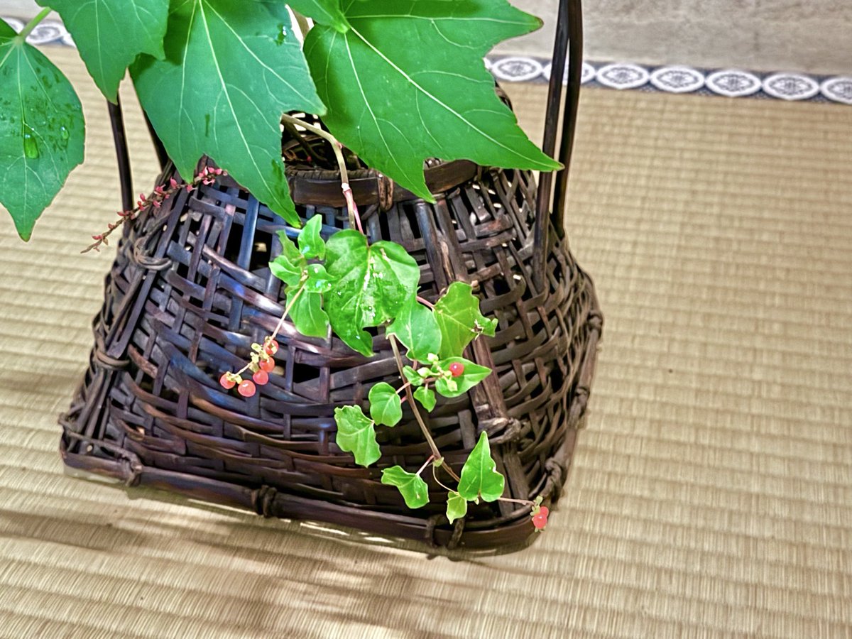 美品 掛け軸 江戸千家 川上宗雪作「別是一家風」共箱 禅語 茶掛け 美品