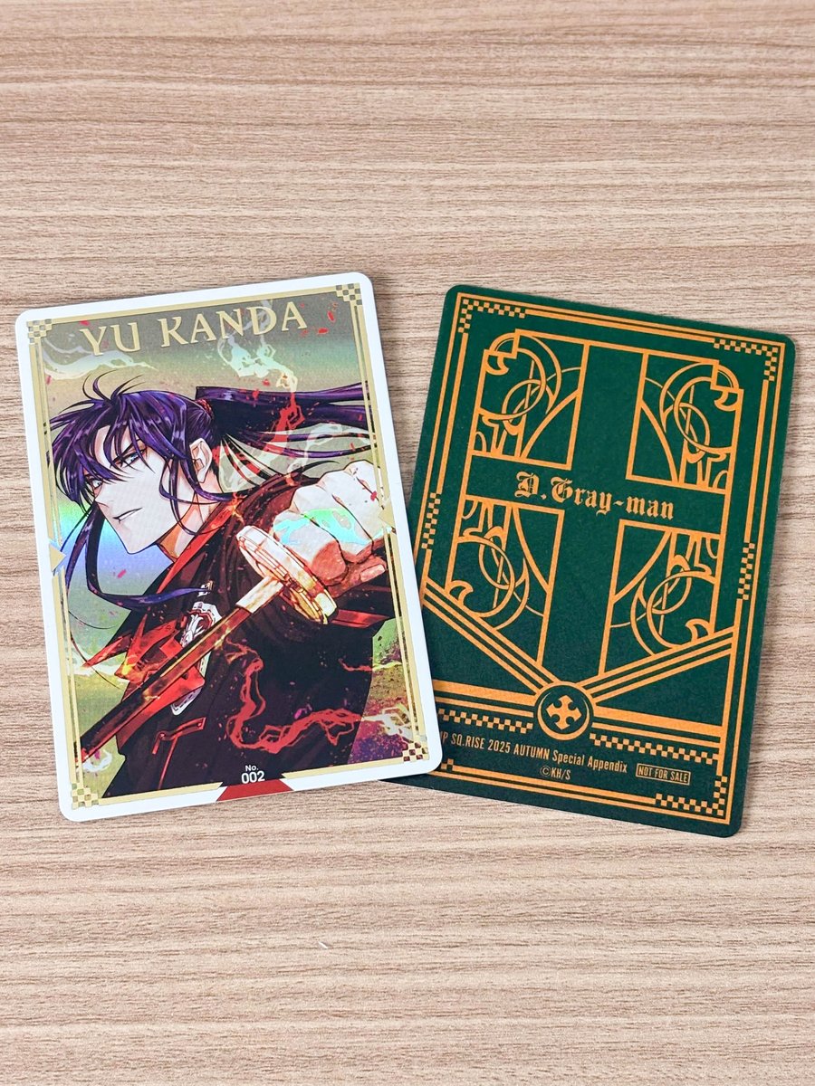 Dグレ RISE 付録 D.Gray-man 付録 ジャンプSQ. RISE 2025 WINTER Dグレ