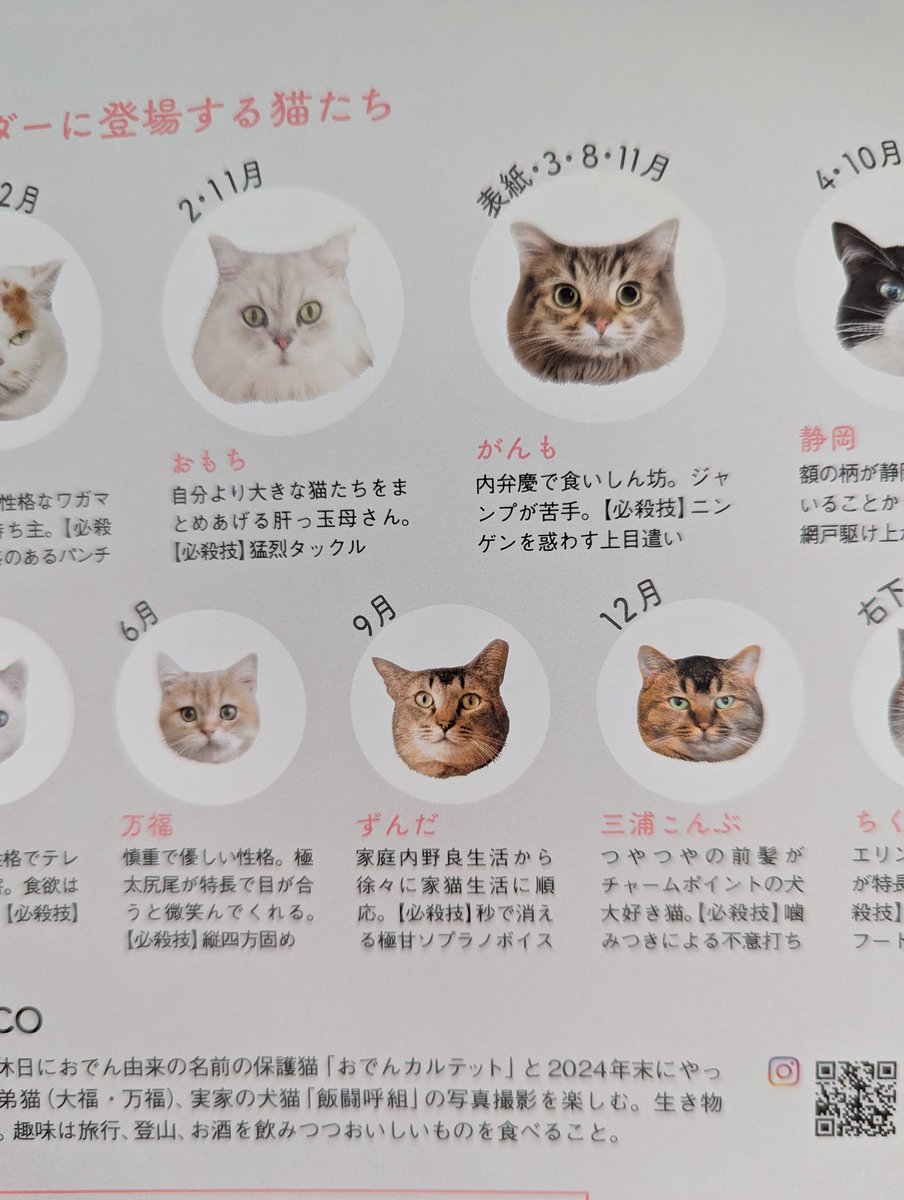 ねこ◎プロフ必読、更新しましたページ(Ⅳ) 56056-189-