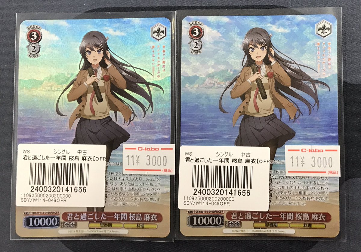 PSA10】サイン入り君と過ごした一年間 桜島 麻衣 ヴァイスシュヴァルツ