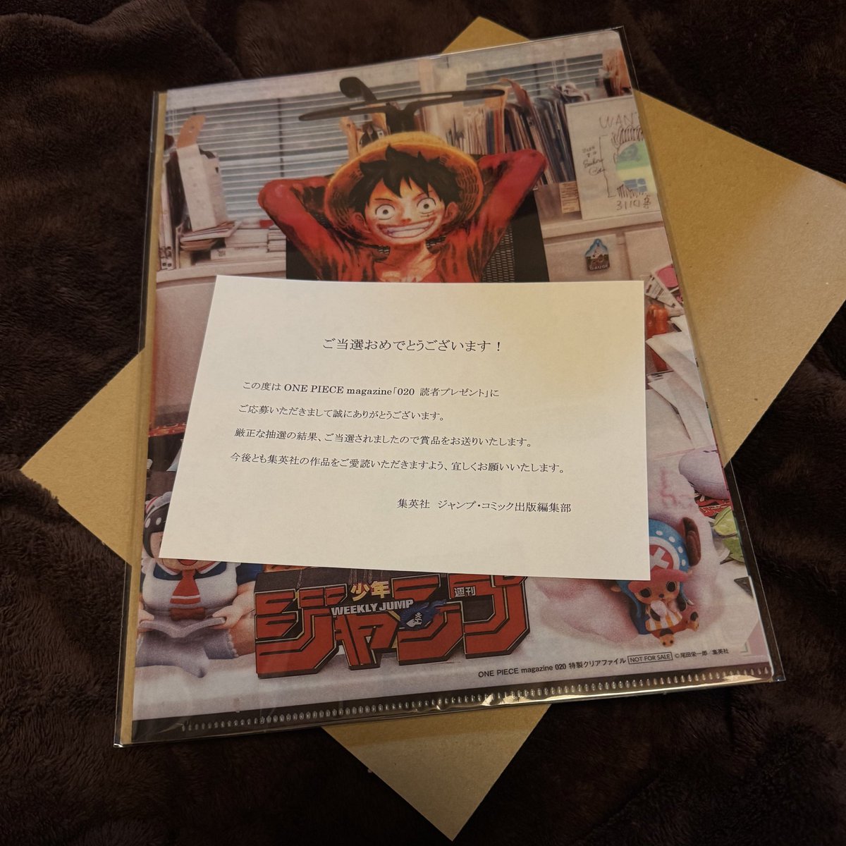 ワンピースマガジンVol.10 懸賞当選品 特製クリアファイル ワンピース