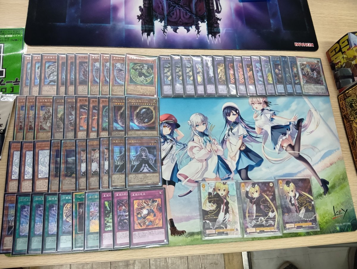 優勝構築 烙印ドラゴンテイルデッキ ファイメナ 黒き竜のエクレシア