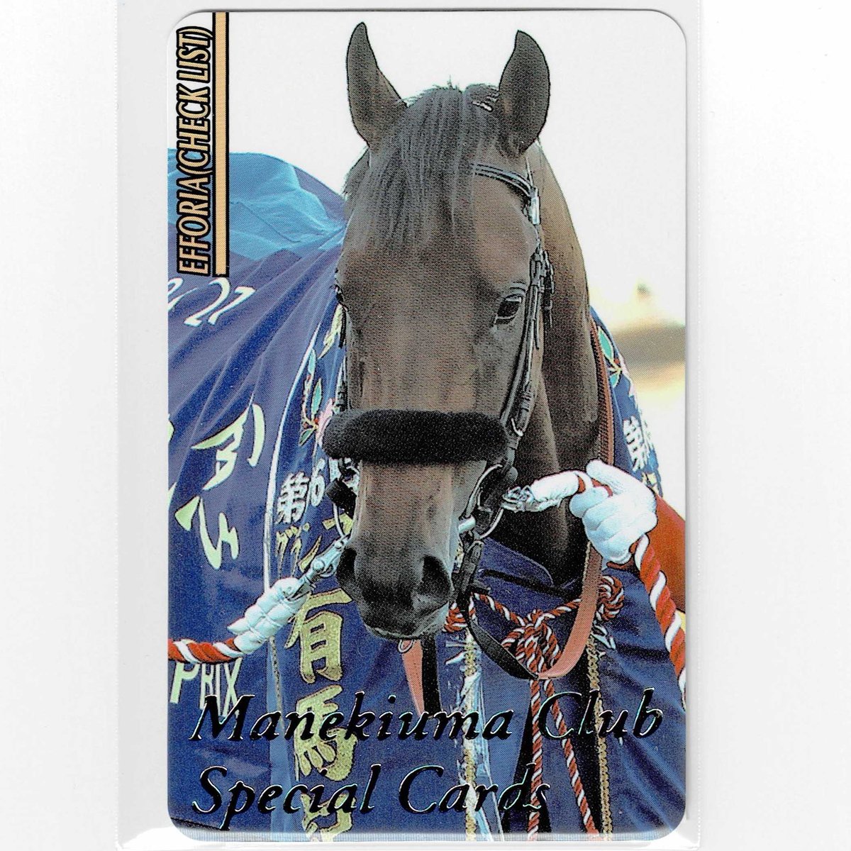 まねき馬レインボー 1996アルアイン まねき馬レインボー 1996